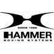 Hammer Boxing Kinderbokshandschoenen Blitz - PU - Zwart6 OZ