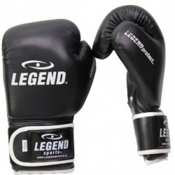 Legend PowerFit and Protect Bokshandschoenen 