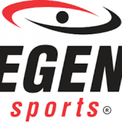 Legend Vierpunts bokszak ketting met swivel 