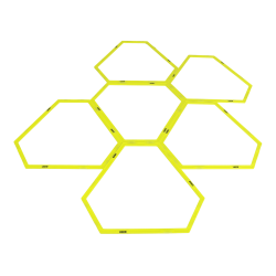 Magnetische Agility Ringen 