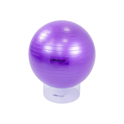 Gymbal 55 cm Diverse Kleuren