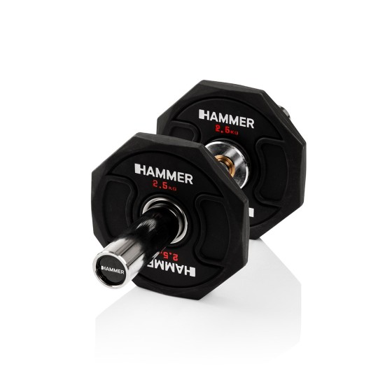 https://www.hammer.de/de-en/media/catalog/product/1/7/17610-kurzhantelstange-50mm-neu-2.jpg?optimize=medium&bg-color=255,255,255&fit=bounds&height=&width=