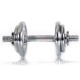 https://www.hammer.de/de-en/media/catalog/product/6/7/6750-hammer-kurzhanteln-chrom-05.jpg?optimize=medium&bg-color=255,255,255&fit=bounds&height=&width=