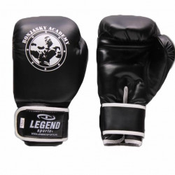 Bokshandschoenen Remy Bonjasky Legend zwart - Maat: 10oz
