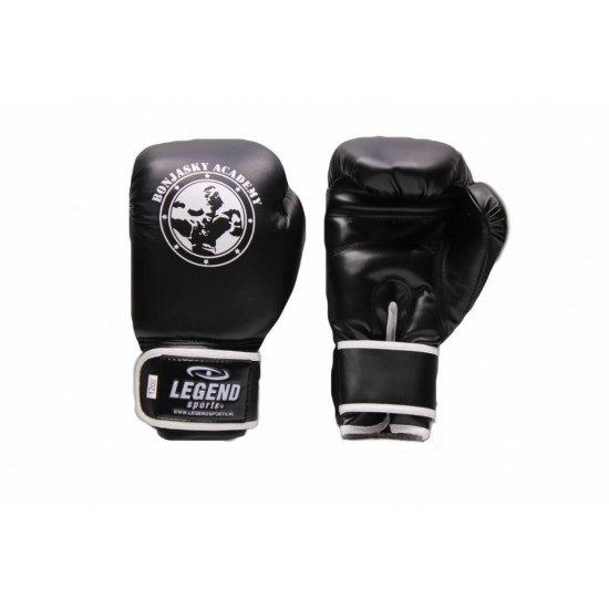 Bokshandschoenen Remy Bonjasky Legend zwart - Maat: 8oz