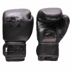 Bokshandschoenen Remy Bonjasky Legend Mat zwart - Maat: 14oz