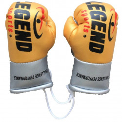 Legend Mini Bokshandschoenen - Zwart