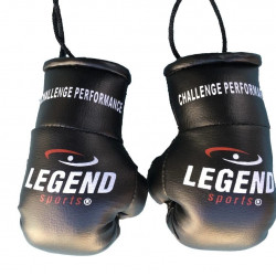 Legend Mini Bokshandschoenen - Zwart
