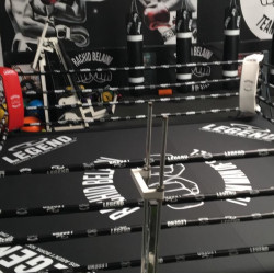 Boksring - 7x7 meter ( Olympische ring )