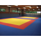 Judomatten 1x1 meter - Judomat