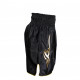 Kickboks broekje golden star Legend Trendy - Maat: M Kickboks broekje golden star Legend Trendy - Maat: M