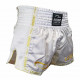 Kickboks broekje gold/white Legend Trendy  - Maat: S