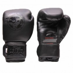 Bokshandschoenen Remy Bonjasky Legend Mat zwart - Maat: 10oz